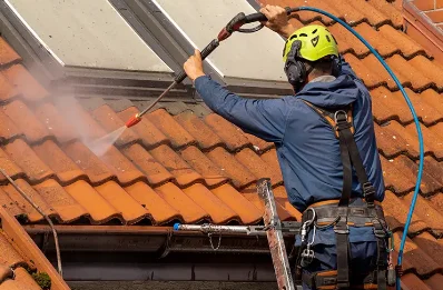 Démoussage et hydrofuge de toiture à Mizérieux